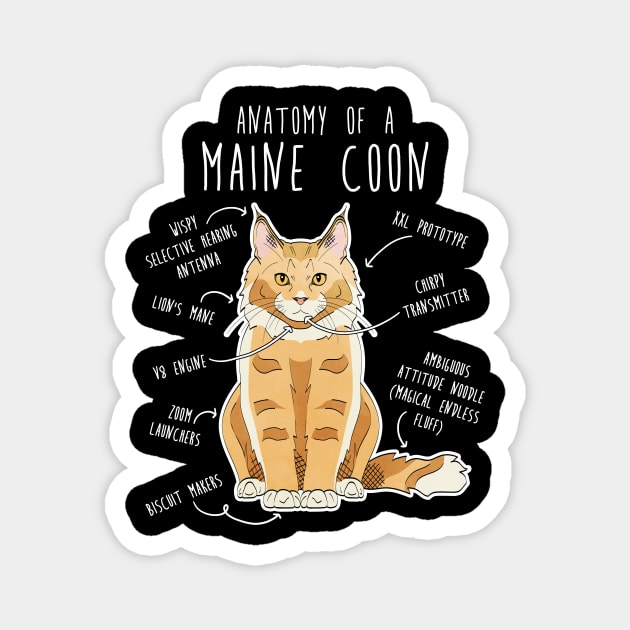 Maine Coon Cat Anatomy Magnet by Psitta