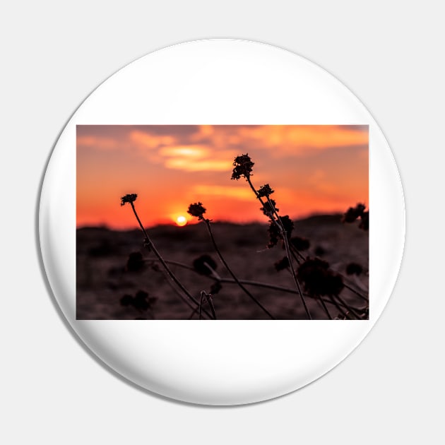 Orange dunes sunset Pin by blossomcophoto