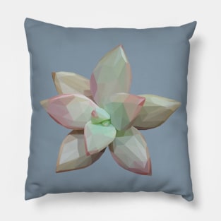 Pink Green Succulent Pillow