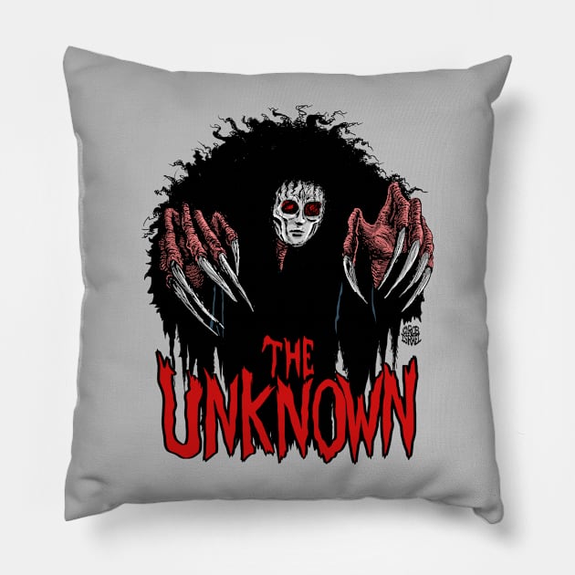 Unknown Pillow by Robisrael