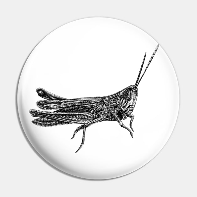 Grasshopper Pin by lorendowding