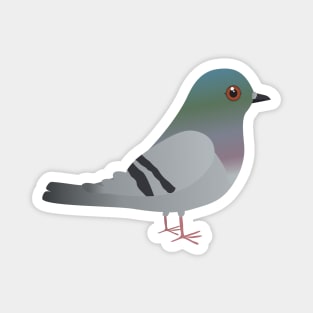 Cute pigeon Magnet