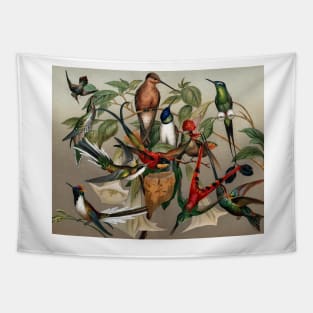 Hummingbirds, historical illustration (C029/7925) Tapestry