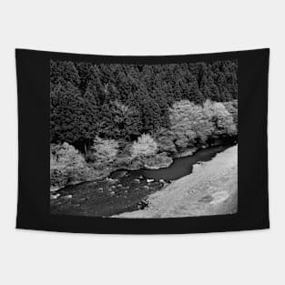 Black and White Mountain Stream Photograph Tapestry