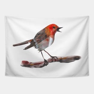 Robin on branch Tapestry