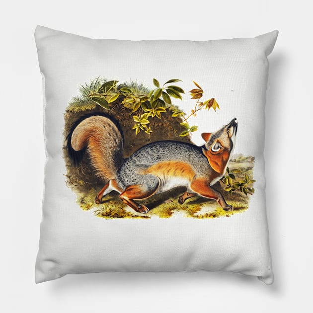 RED GREY FOX AMONG LEAVES Pillow by BulganLumini