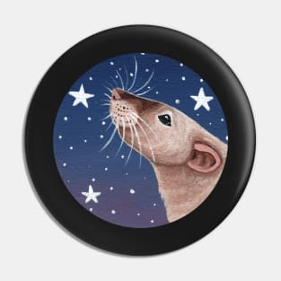 Siamese Rat Stargazing Pin