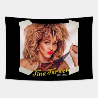 Tina Turner Tapestry