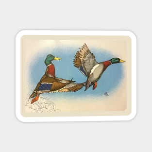 Ducks in flight Magnet