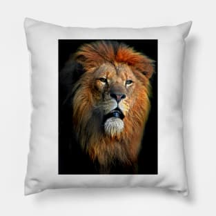 African Lion Pillow