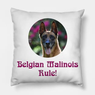 Belgian Malinois Rule! Pillow