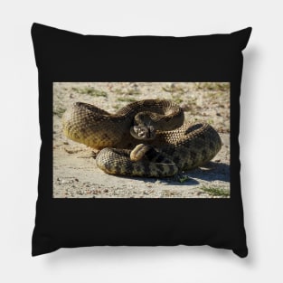 Rattlesnake, wildlife, Deadly Silence Pillow