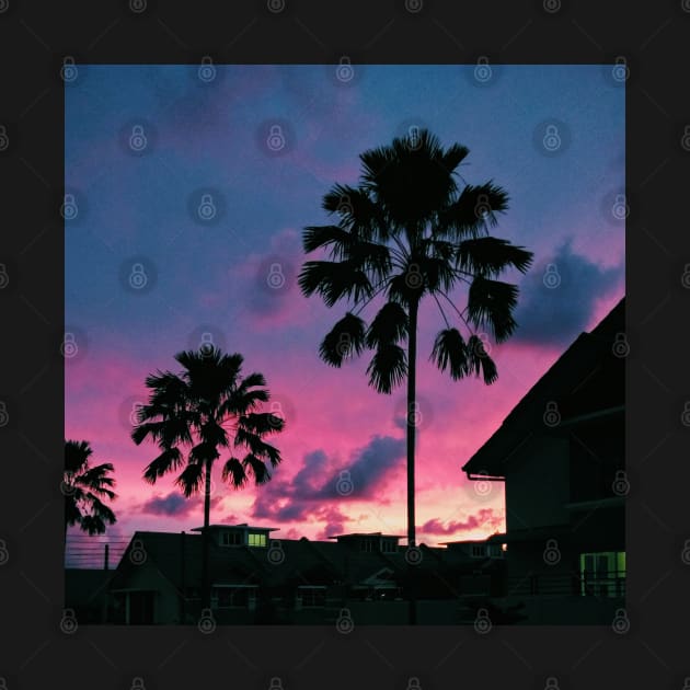 Summer Palm Trees Pink Skies by Nita Sophian