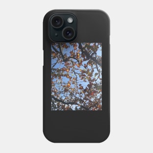 Grape leaf vine in akrotiri Phone Case