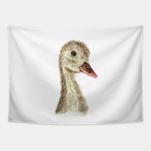 little smiling duck Tapestry