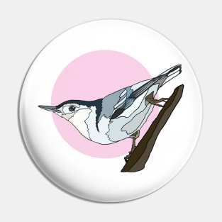 White Breasted Nuthatch on Pink Pin