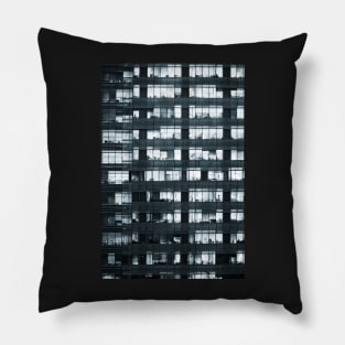 Enlightened Bureaucracy Pillow