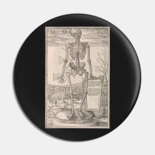 Anatomical skeleton illustration from De dissectione partium corporis humani libri tres published circa 1545 Pin