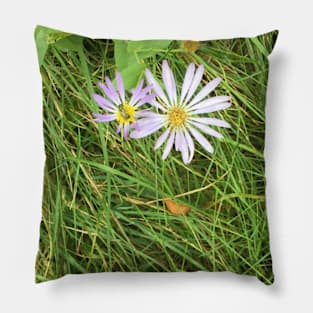 Wildflowers in the Grass Pillow