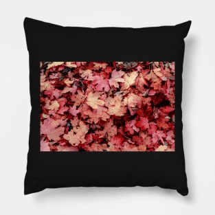 Autumn background of fallen red leaves Pillow