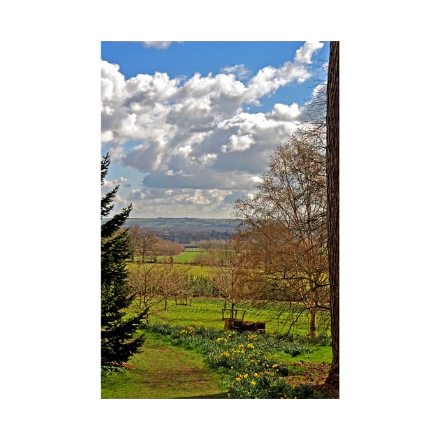 Batsford Arboretum Moreton In Marsh Cotswolds UK by AndyEvansPhotos