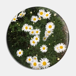 Little White Daisies Pin