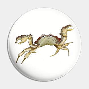 crabby Pin