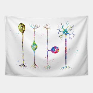 Four types of neurons Tapestry