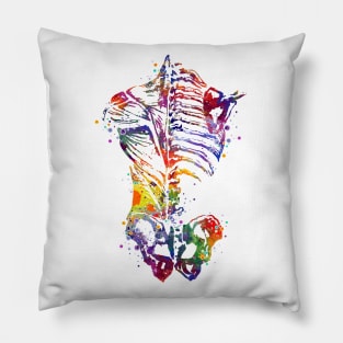 Human Back Bones Watercolor Anatomy Pillow