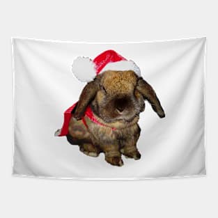 Holiday Rabbit Santa Claus Tapestry