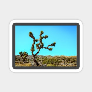 Joshua Tree National Park, California Magnet