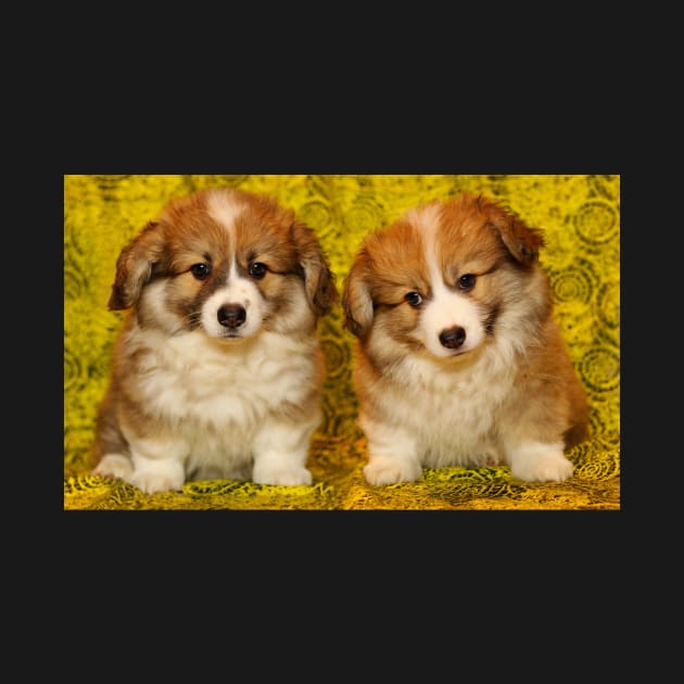 Baby Corgi Puppies on Couch by kawaii_shop