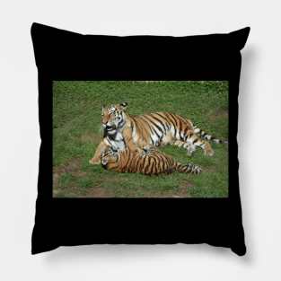 Tiger Mom and Cub Pillow