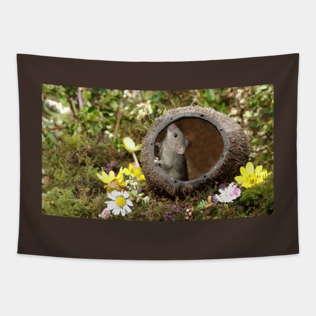 Little mouse in a coconut shell Tapestry by Simon-dell