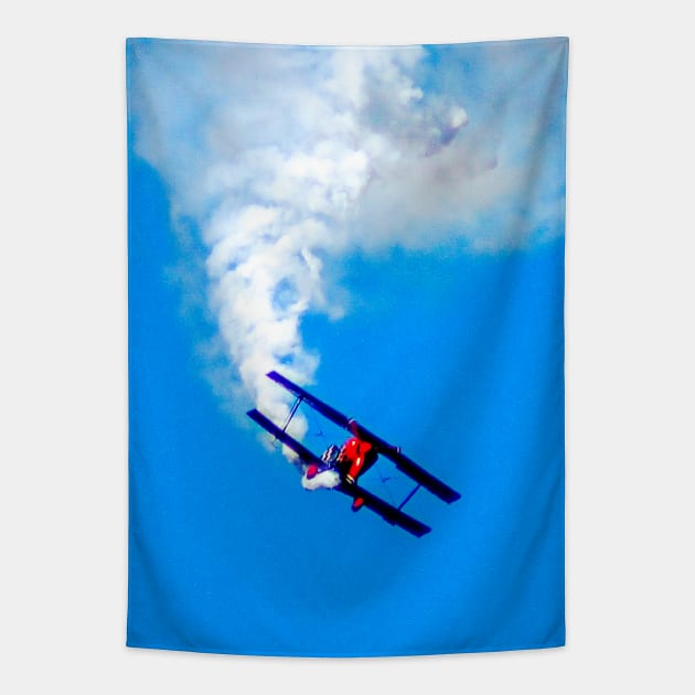 Pitts S-2S Special N540S Tapestry by Upbeat Traveler