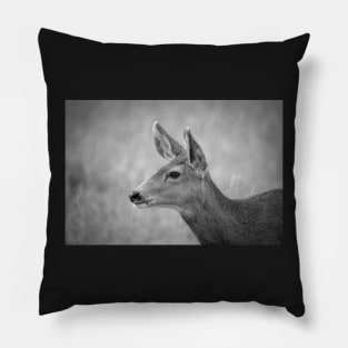 Watchful Doe B&W Pillow