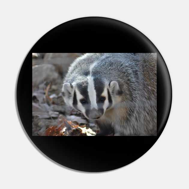 Badger Pin by MarieDarcy