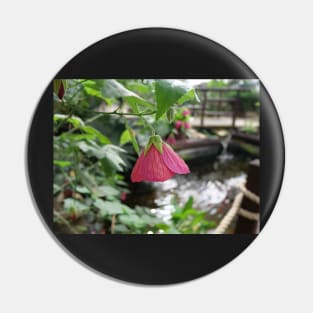 Purple bell flower bokeh garden Pin