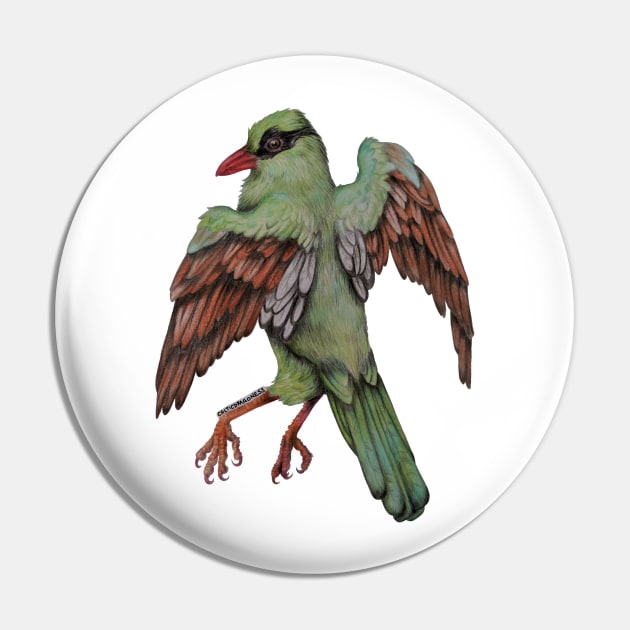 Javan Green Magpie SING FOR SONGBIRDS Pin by CelticDragoness