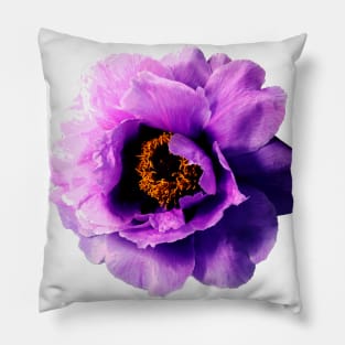 Purple Peony Flower Pillow