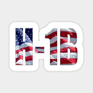 H-1B and Stars and Stripes Magnet