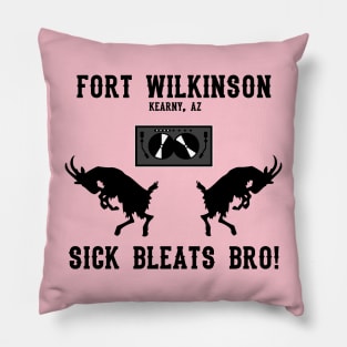 Fort Wilkinson Sick Pillow