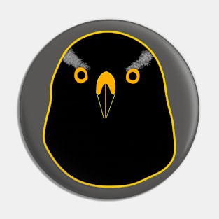 Black Goshawk with yellow eyes Pin