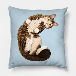 Snuggly Tabby Cat Pillow