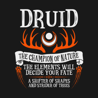 Druid, Dungeons & Dragons - The Divine Champion T-Shirt