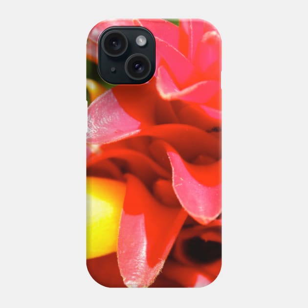 Red and yellow flower details Phone Case by HFGJewels