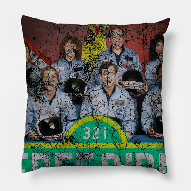 Free Bird DMG Pillow by wiredshutpodcast