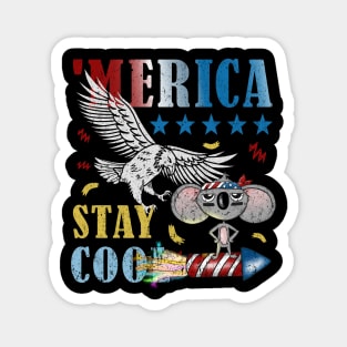 Merica Funny Eagle and Mouse on Fireworks Stay Cool Magnet