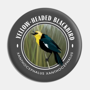 Yellow-Headed Black Bird Round Pin