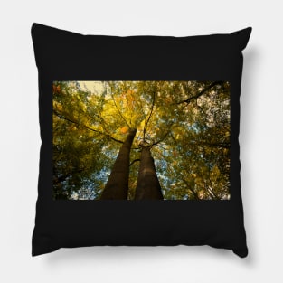 Canopy of Leaves Pillow